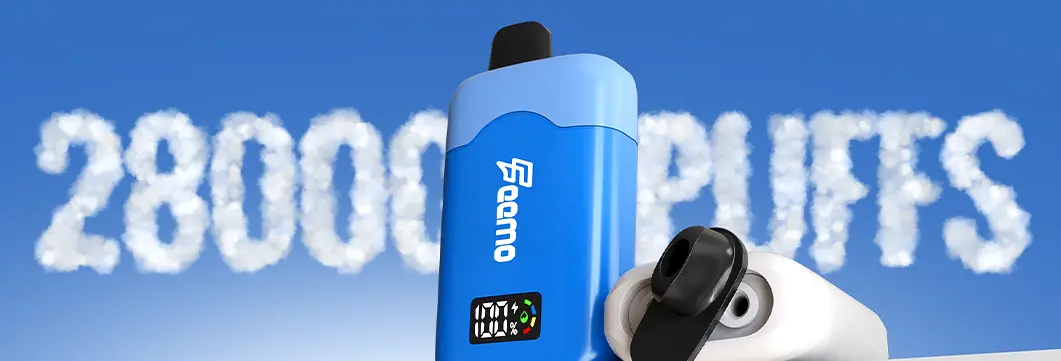 17+17ML
